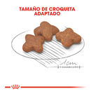 Royal Canin Mini +8 Adult pienso para perros, , large image number null